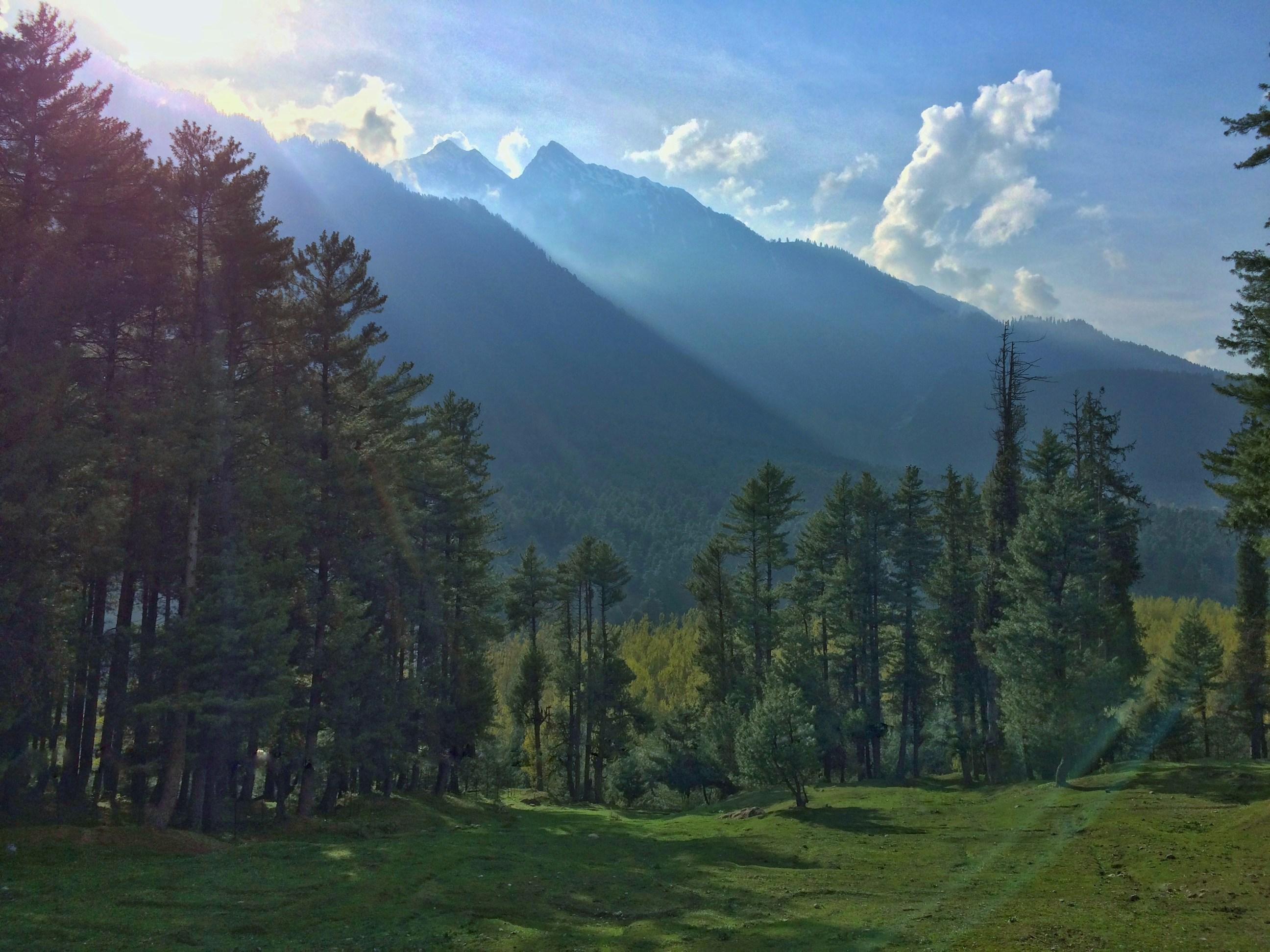 Why Gondola Is A Must-Do In Summer
