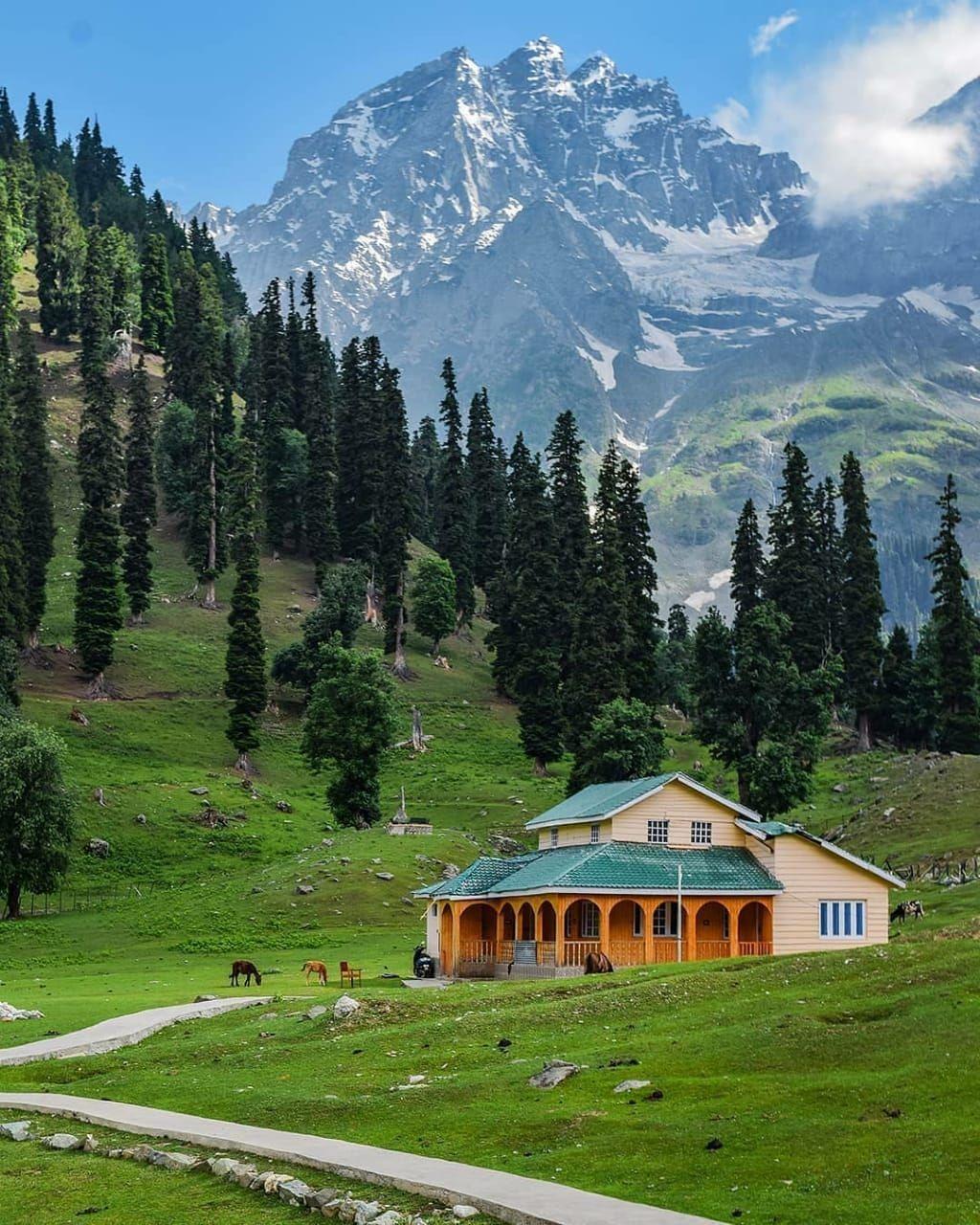 Mountain Trek
