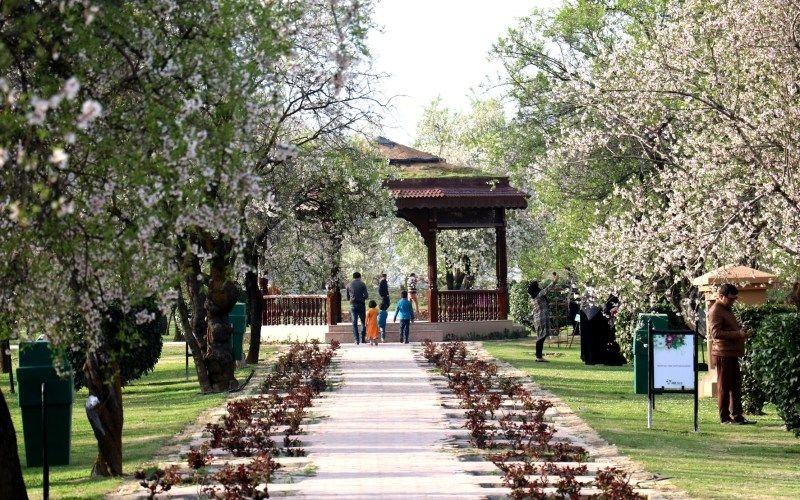 Badam Wari Srinagar