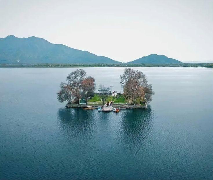 Char Chinar