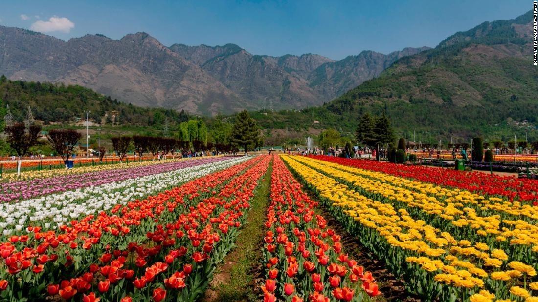 Indira Gandhi Tulip Garden