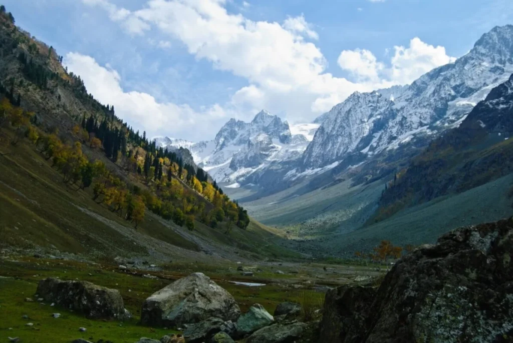 6 Things You Should Do in Sonamarg