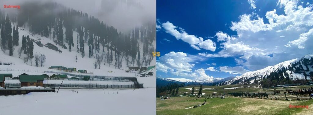 Gulmarg vs. Sonamarg- The image a clear view for a side-by-side comparison of the beauty of both.