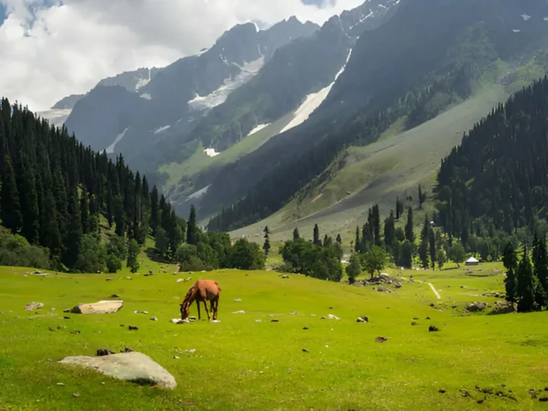Places to Visit in Sonamarg: Top 5 Hidden Gems to Explore