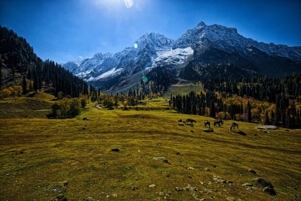 Why Should You Visit Sonamarg?