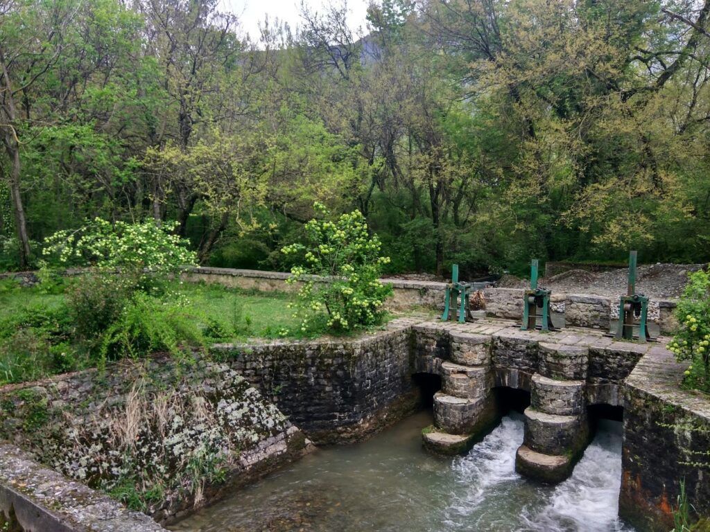 Dachigam National Park 