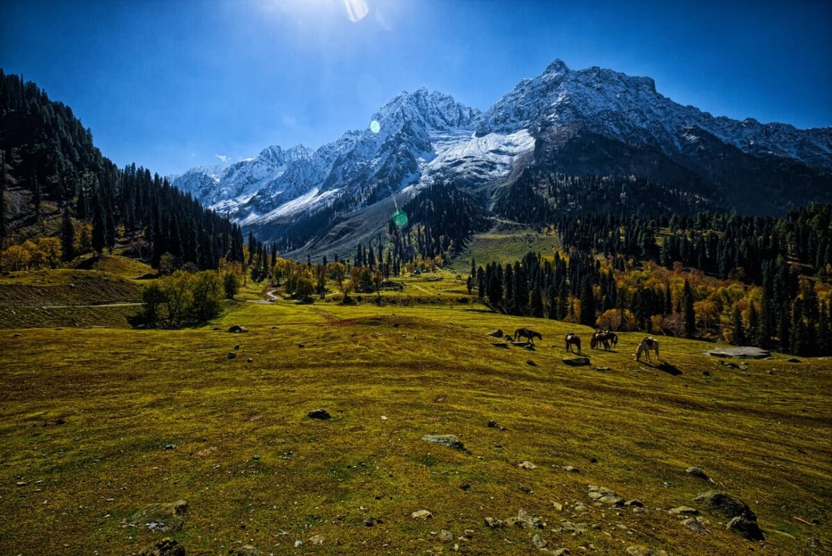 Sonamarg in Autumn (October – November): Stunning Fall Colors & Mild Chill