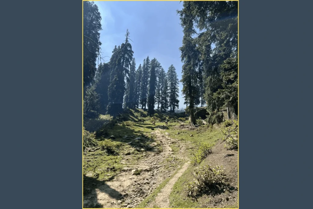 Gulmarg Biosphere Reserve Trail