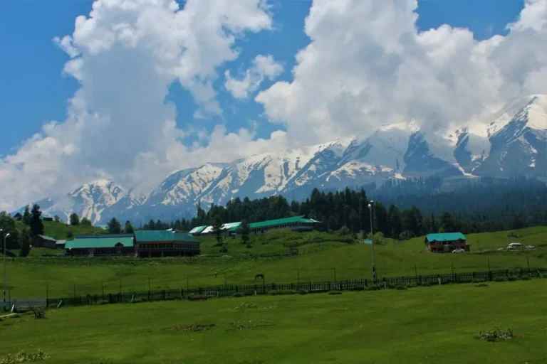 Gulmarg in June