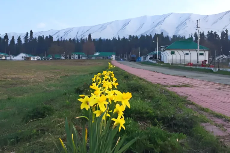 Gulmarg in May
