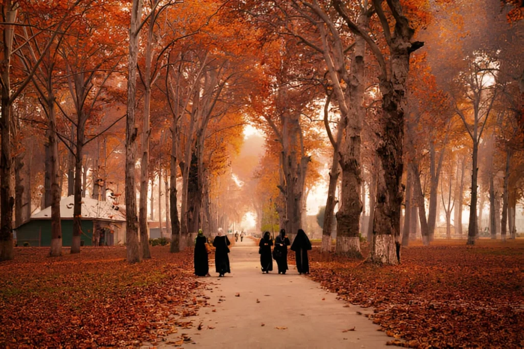 Kashmir University in Autumn (November) and female students are walking through campus street