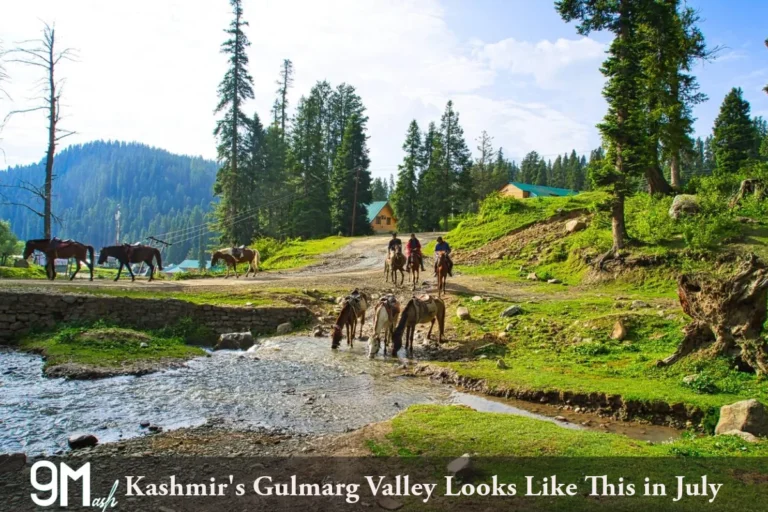Kashmir in July
