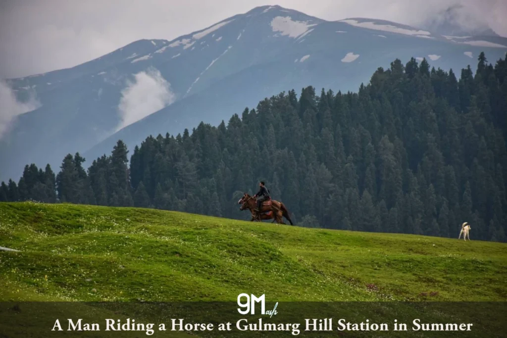 A Man Riding a Horse at Gulmarg Hill Station in Su