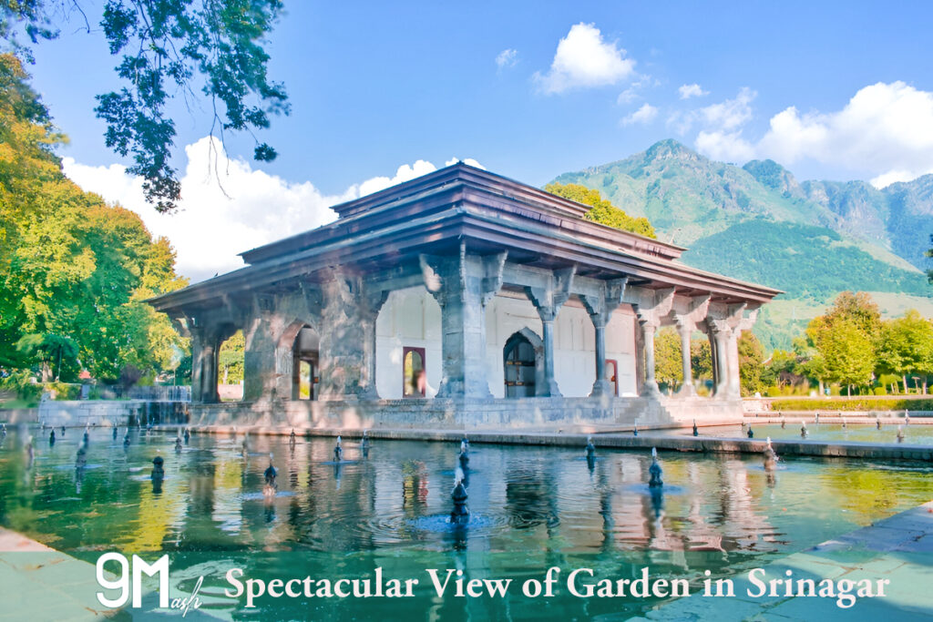 Best time to Visit Gardens in Srinagar