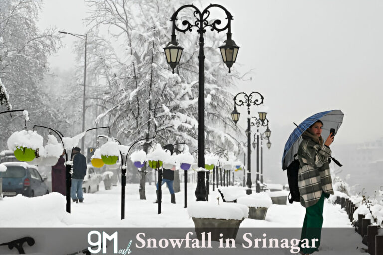 Snowfall in Srinagar