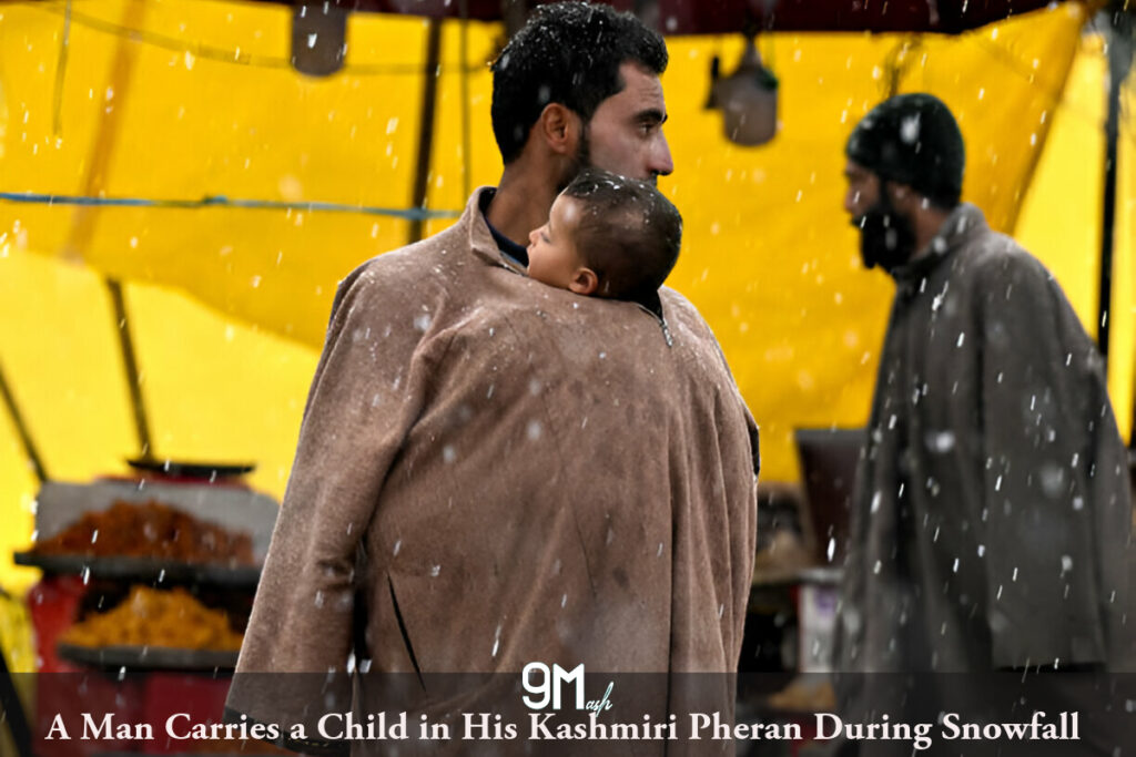 Best Season to See Snowfall in Srinagar