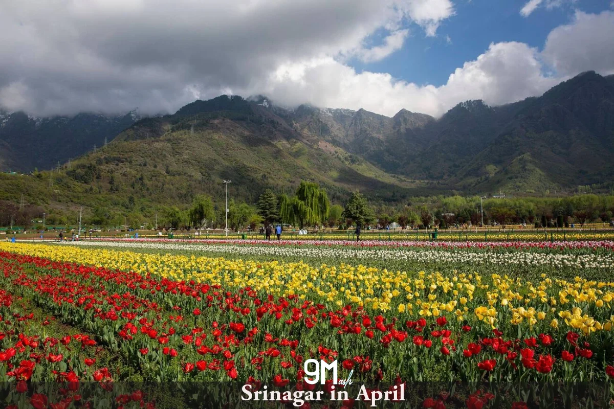 Srinagar in April