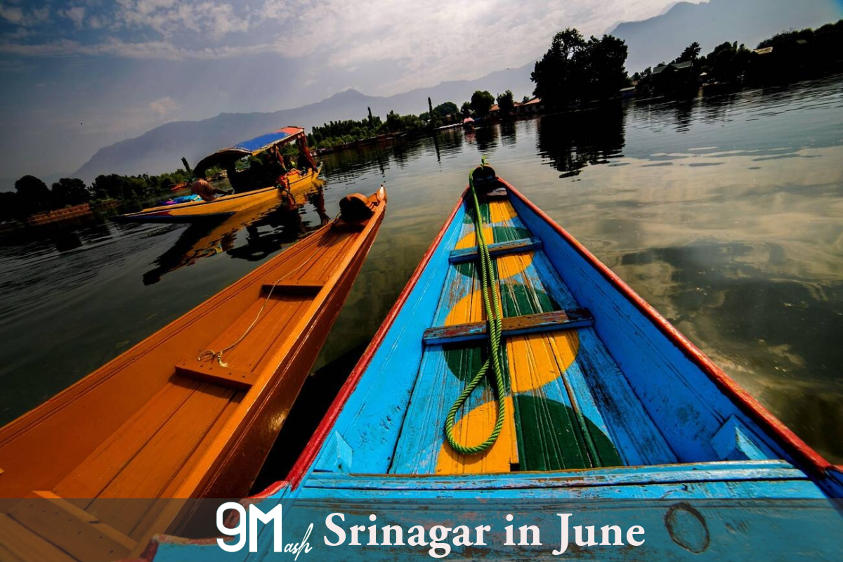Srinagar in June