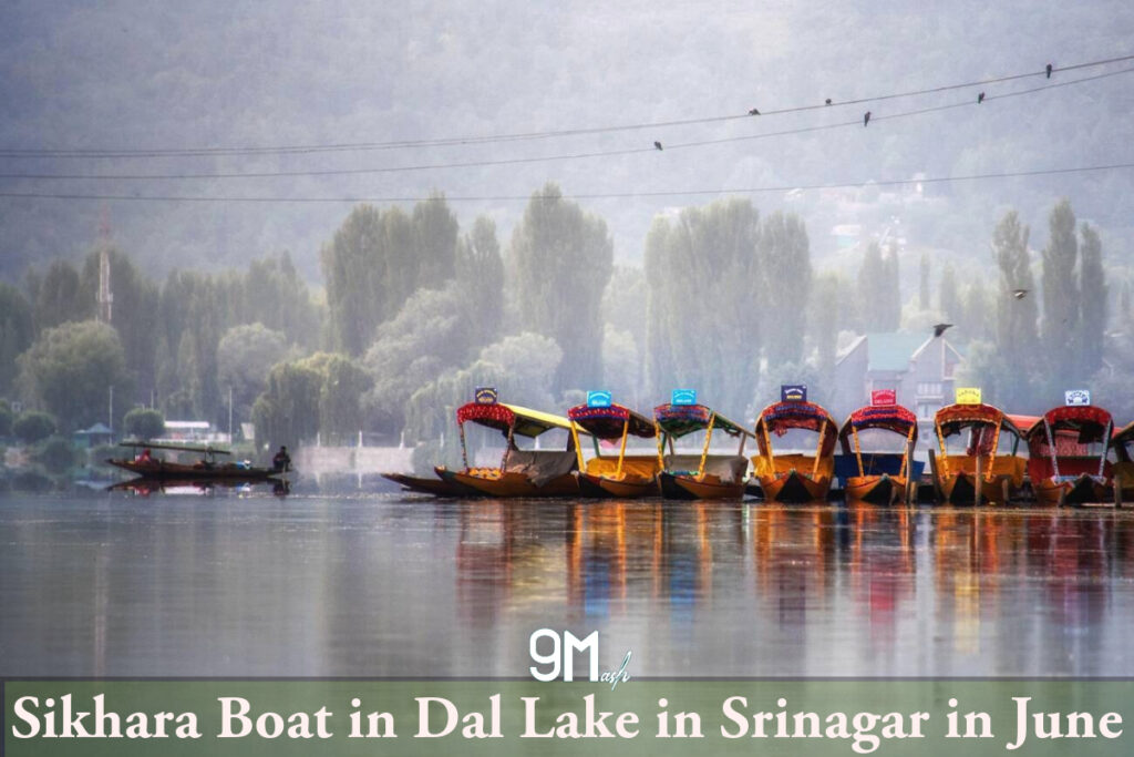 Sikhara Boat in Dal Lake in Srinagar in June