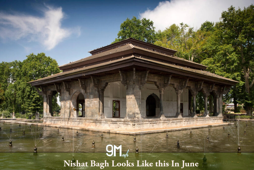 Nishat Bagh Looks Like this In June