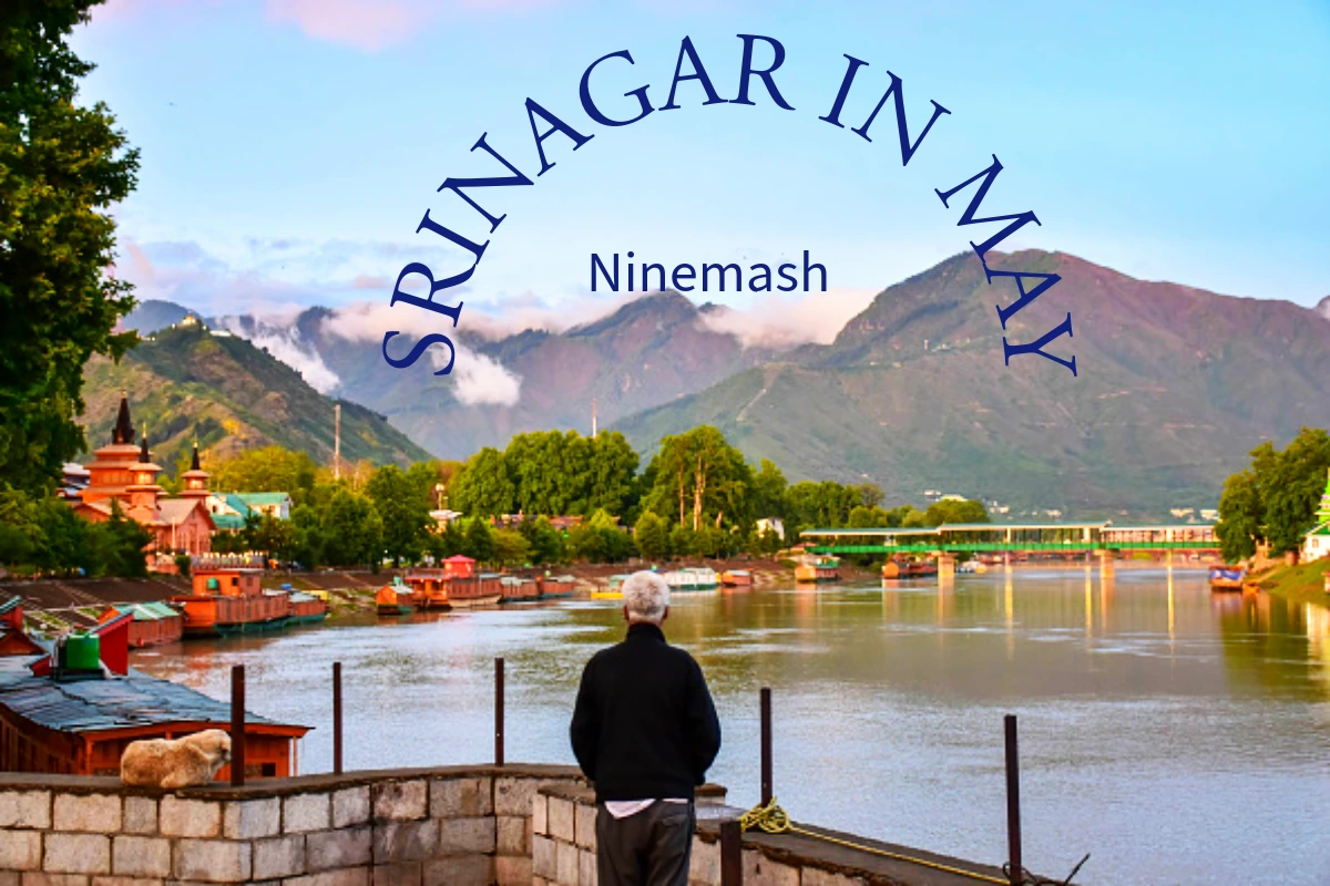 Srinagar in May