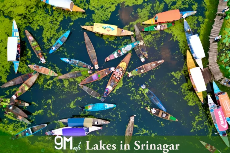 Lakes in Srinagar