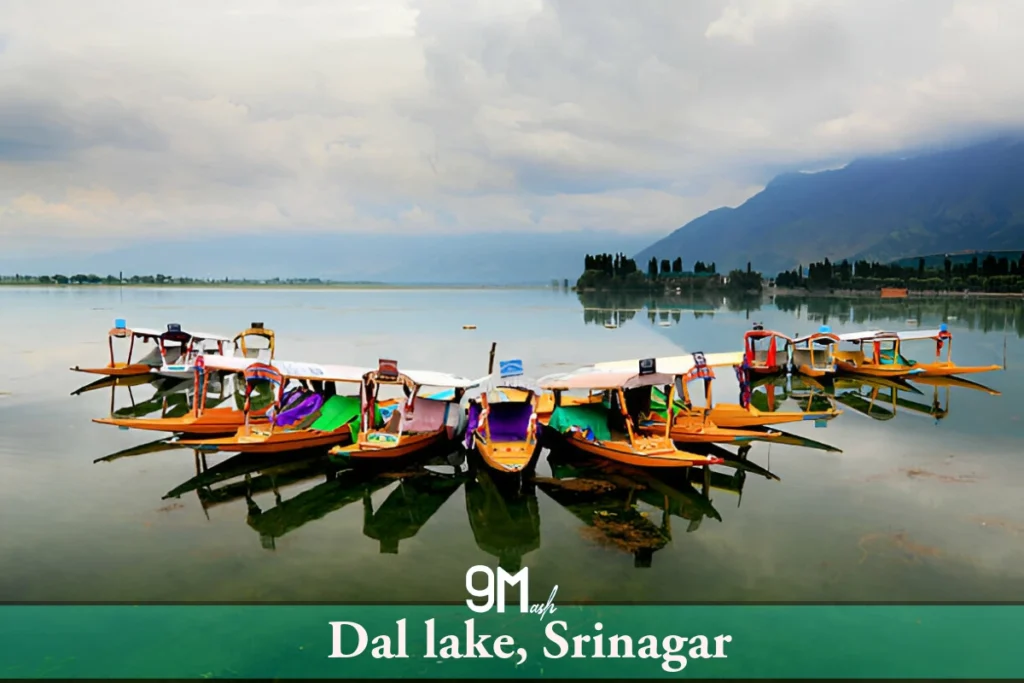 Dal Lake, Srinagar