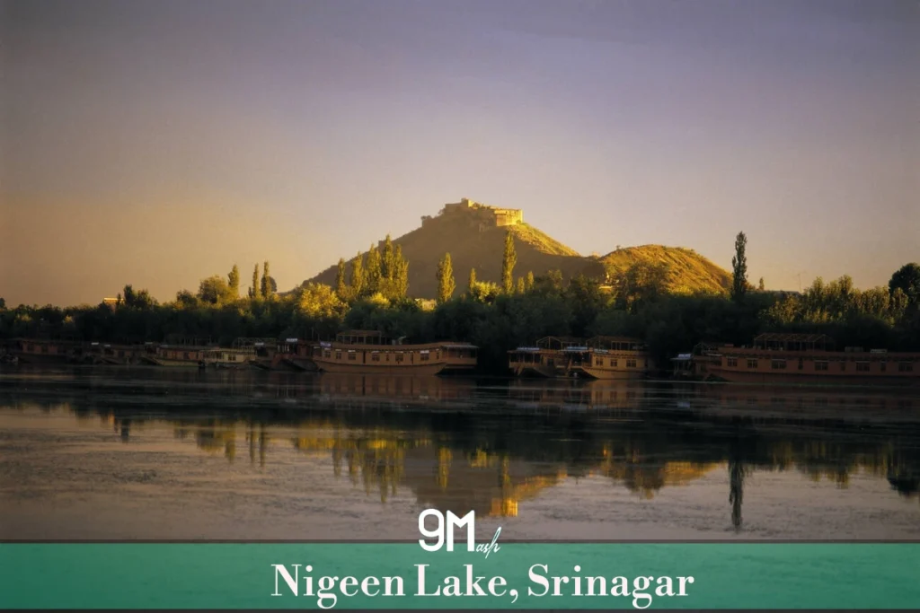Nigeen Lake, Srinagar