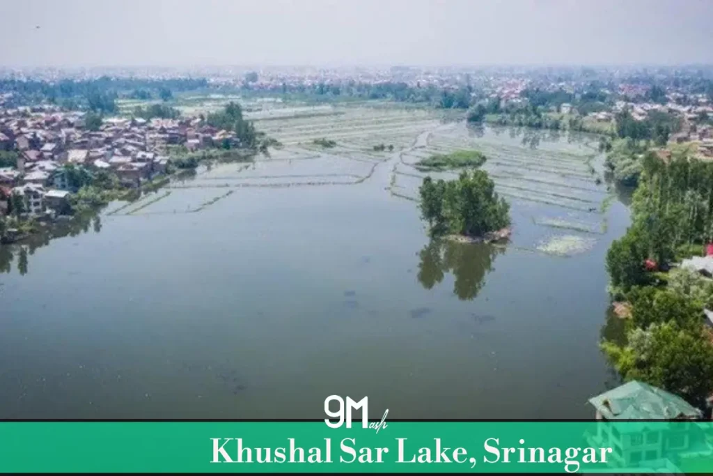 Khushal Sar Lake, Srinagar