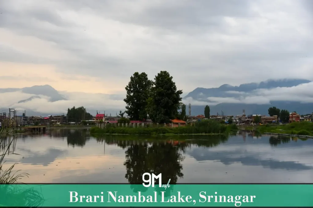 Brari Nambal Lake, Srinagar