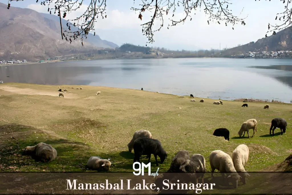 Manasbal Lake