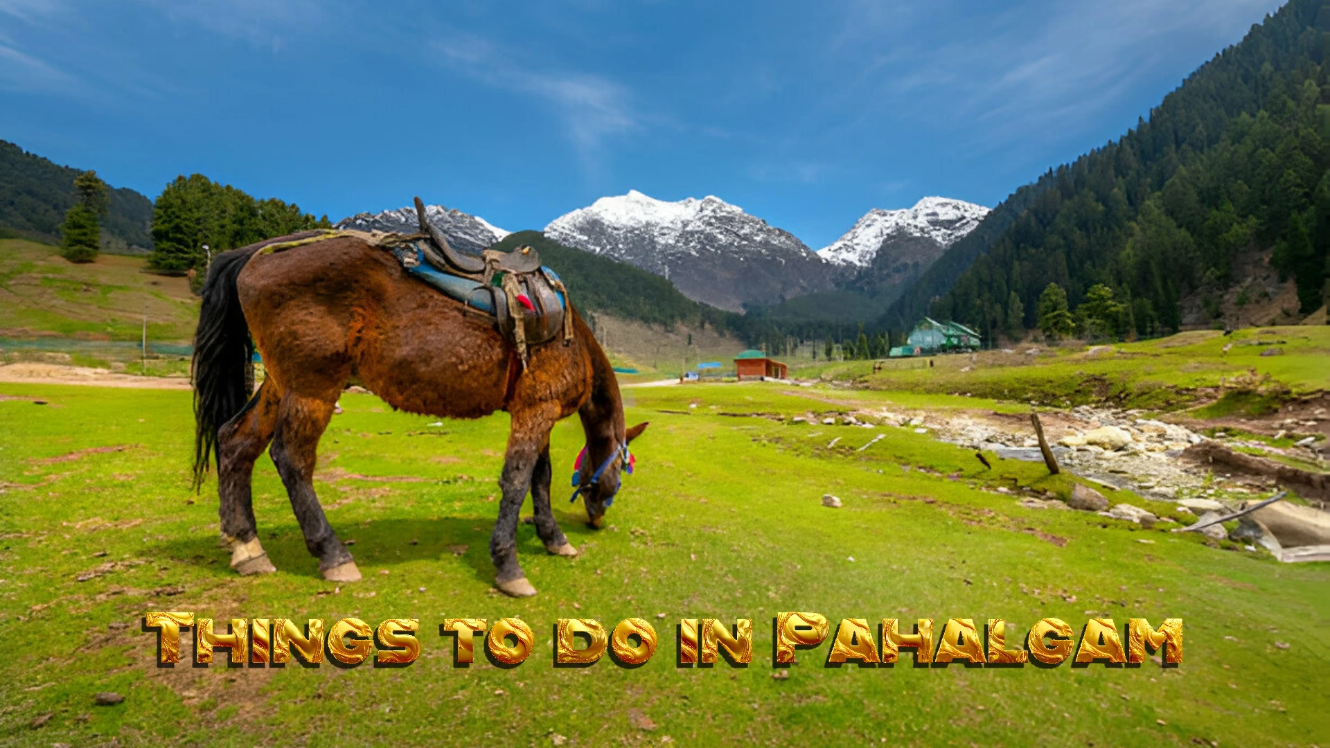 Things to do in Pahalgam