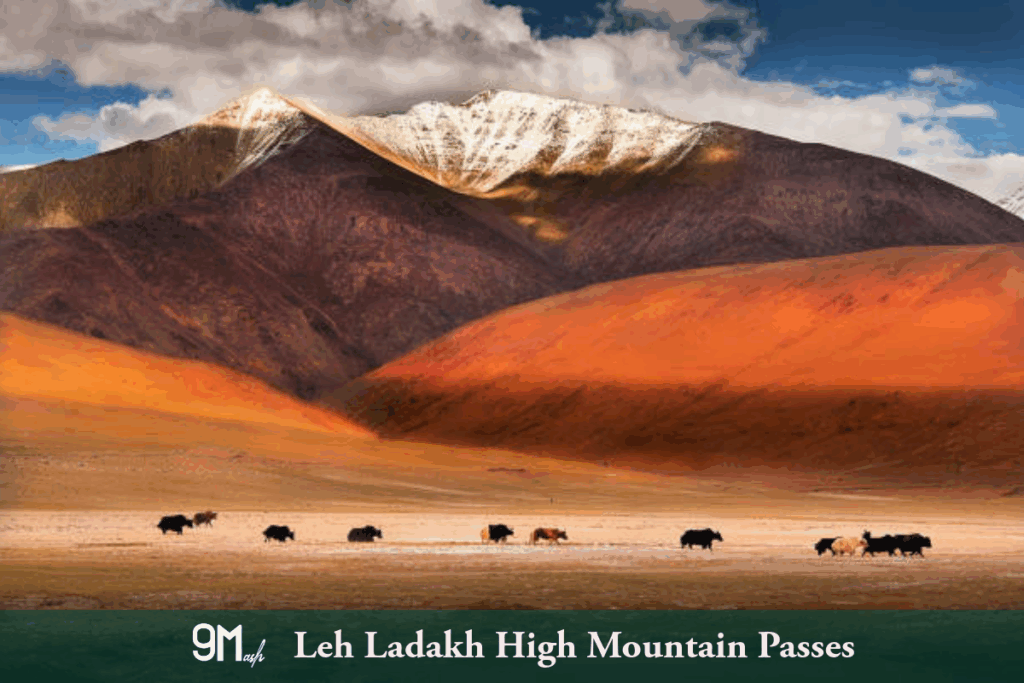 Leh Ladakh high mountain pass