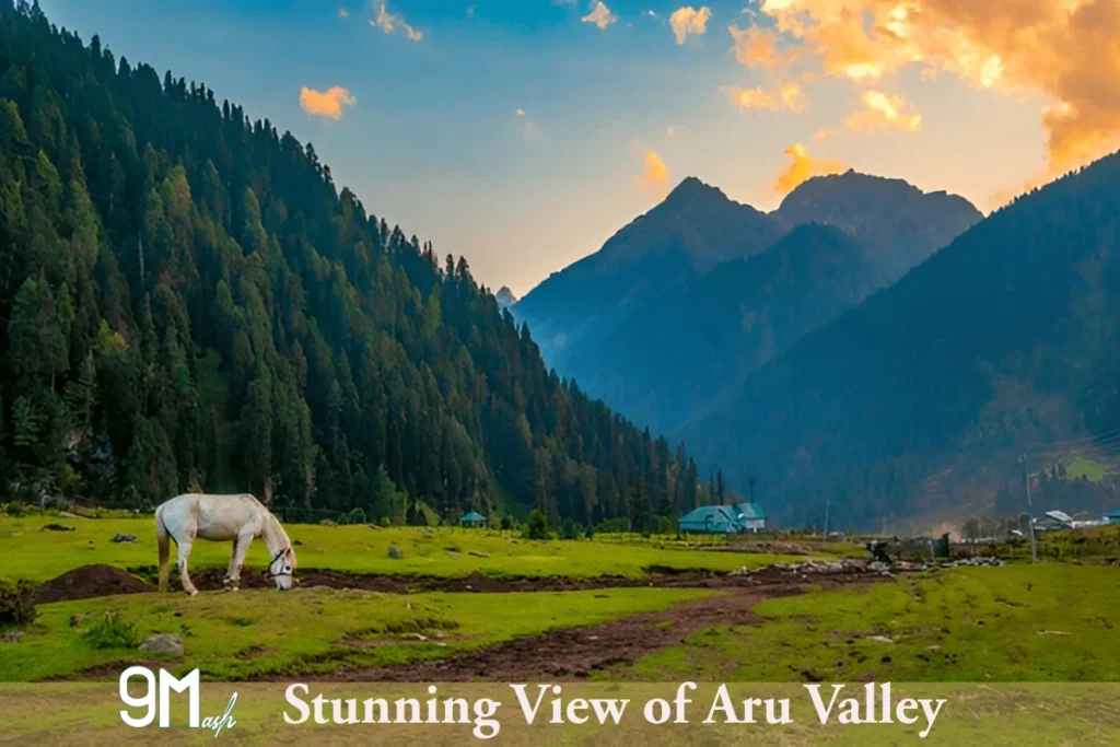 Stunning View of Aru Valley