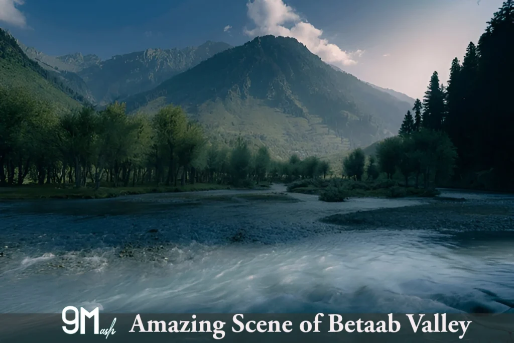 Stunning View of Betaab Valley