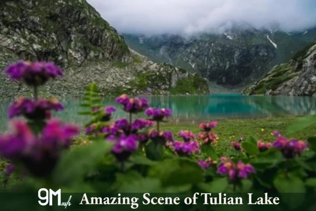 Amazing Scene of Tulian Lake