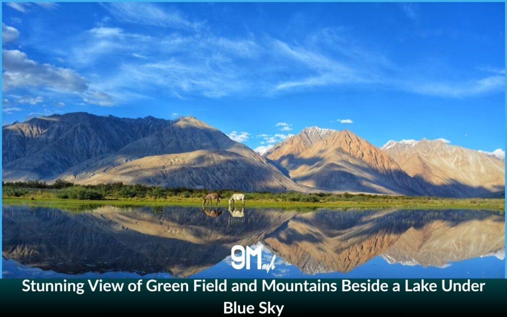 Stunning View of Green Field and Mountains Beside a Lake Under Blue Sky