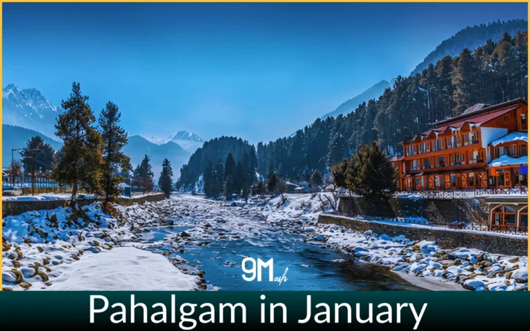 Pahalgam in January