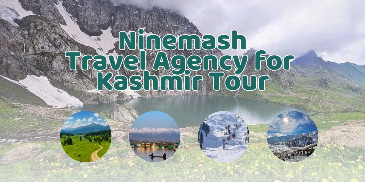 Travel Agency for kashmir tour